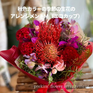 ̓ v[g a   j v[g J[ ̂܂܏ G߂̉؂₩t[AWg L Mtg  LO ޏ   t[ Ԋ z {