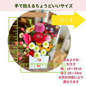 yz }t 叼d ܂AWg   [ԃAWg]叼dā@ Mtg Ε Nz      AW  