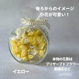 yBElEnza r^  j KĂ v[g J[ ̂܂܏ G߂̉؂₩t[AWg L Mtg  LO ޏ 