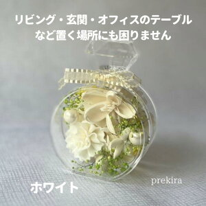 yBElEnza r^  j KĂ v[g J[ ̂܂܏ G߂̉؂₩t[AWg L Mtg  LO ޏ 