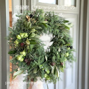 yBElEnztbVO[[X NX}X[X Rf 胊[X i`fUC k ֏ CeA Gߊ NX}XMtg 蕨 