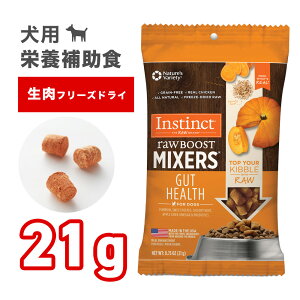 CXeBNg [u[Xg ~LT[ KbgwX Instinct 21g  p hbOt[h OCt[ T|[g   _ Pʋ H@ 炩 hCt[h  `