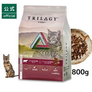 yzgW[ Lp 300g 800gh{H ybgt[h I[XgAYr[t j[W[hY t[YhC Lbgt[h H@ T|[g ыʃPA L L