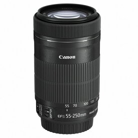 【中古】【1年保証】【美品】Canon EF-S 55-250mm F4-5.6 IS STM