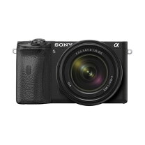 楽天市場】ソニー α6600 ボディ [ilce－6600]の通販