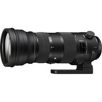 楽天市場】シグマ 150－600mm f5－6．3 dg os hsm キャノンの通販
