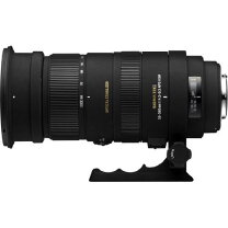 楽天市場】sigma 50-500 canonの通販