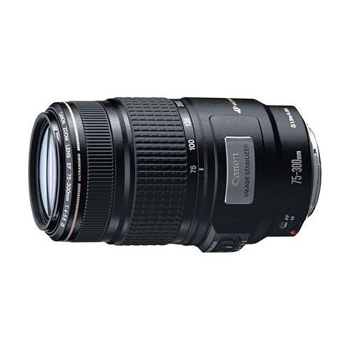 中古 Canon 市販 セール特別価格 EF 75-300mm F4-5.6 USM IS １年保証 美品