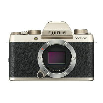 楽天市場】fujifilm x-t100の通販 