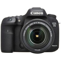楽天市場】eos 7d mark ii 中古の通販