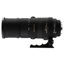 楽天市場】シグマ APO 150－500mm F5－6．3 DG OS HSM キヤノン用の通販