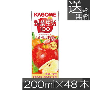  JS ؐ100 AbvT_ 200ml 48{؃W[X ʏ`100