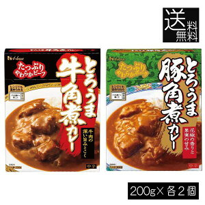  nEXHi Ƃ낤 pσJ[ ؊pσJ[ h e2 y4ZbgzZ Ȉ gg