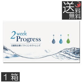 コンタクト 2ウィークプログレス(6枚入)　×1箱　2week progress クリアコンタクト 2週間交換 ツーウィーク　安い