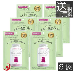 GYCN xA[YTv Ԃǂ 60g@6 @\\Hi  b b t[cO~ O~