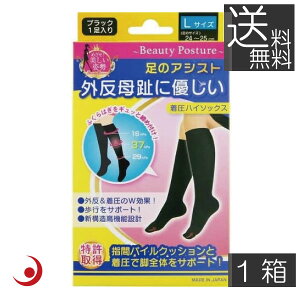 ̃AVXg O䒅nC\bNX L 24~25Z` L ubN 24-25cm (2) ×3 eR[|[V @\C