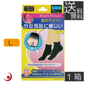 ̃AVXg OɗD\bNX L ubN 24-25cm (2) ×1 eR[|[V @\C