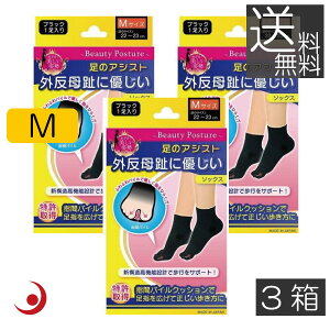 ̃AVXg OɗD\bNX M ubN 22-23cm (2) ×1 eR[|[V @\C