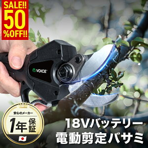 �y���Ԍ���50%OFF!!�z VOICE 18V �d�� ����o�T�~ ����΂��� �d���n�T�~ �ő�J�� 30mm 2�i�K�J���p�x�����\ ��� �ʎ� 18V���`�E���C�I���o�b�e���[�i2.0Ah�j �u���V���X���[�^�[ �[�d�� VP_18800PS 