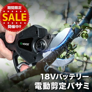 yԌ20%OFF!!zVOICE 18V doT~ ΂ dnT~ őJ 30mm 2iKJpx\  ʎ 18V`ECIobe[i2.0Ahj uVX[^[ [d VP_18800PS 