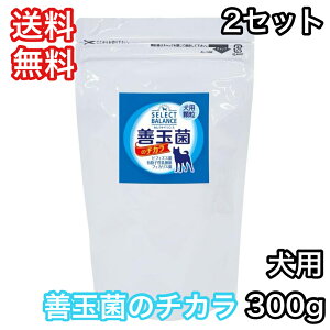 y2ZbgzZNgoXPʋۂ̃`J p  300g   _ۃS[h