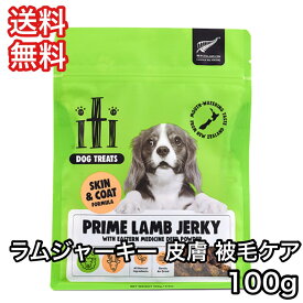 イティ トリーツ iti 犬 おやつ ラム ジャーキー 皮膚 被毛ケア 100g 送料無料