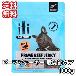 �C�e�B �g���[�c iti �� ����� �r�[�t �W���[�L�[ �Ҋ֐߃P�A 100g ��������