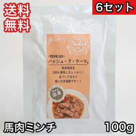 【6セット】エーワン ハッシュ・ド・ウーマ 馬肉ミンチ 100g ドッグフード 送料無料