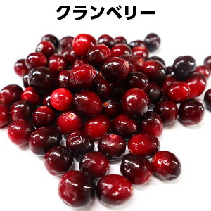 Nx[@Ⓚt[c250g@Y@F@Ɩp ف@P[L@pC@W@َqW,cranberry meatball,Nx[[Xgr[tɂ