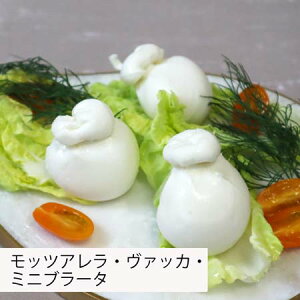 WCG@bcAE@bJE~ju[^150g(50g×3) mozzarella cheese vacca C^AY@܂₩ŃN[~[