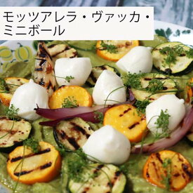 ジョイエラ　モッツアレラ・ヴァッカ・ミニボール125g mozzarella cheese vacca mini balls イタリア産　まろやかでクリーミー