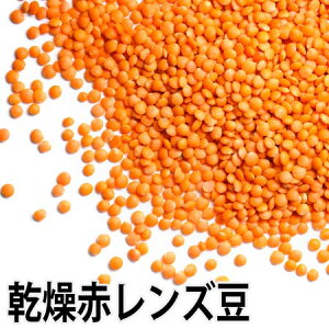 y퉷izԃY500g Red Lentils@NHށ@xW^A@r[KH@X[v@J[@̎ύݗ@tX