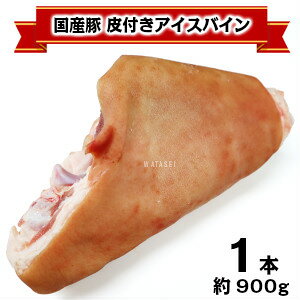 Y؃ACXoCptt900g Eisbein