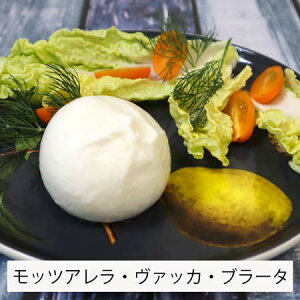 bcAE@bJEu[^100g mozzarella cheese vacca C^AY