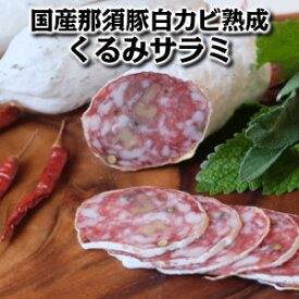 楽天市場 白カビ サラミの通販