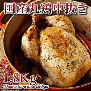 YVNی{1.8kg Ɩp iƓ\̓ hV̓