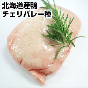 kCYXm[zCg`Fo[퍇tB̓ hV̓