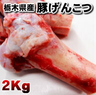 業務用産地直送国産げんこつ ゲンコツ 2kg※2分の1カット 豚骨 トンコツ 豚ゲンコツ 国産父の日 敬老の日