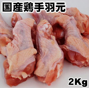 Y{H2kg Ɩp iƓ\̓ hV̓