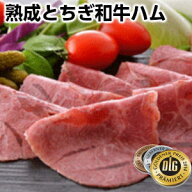 DLGドイツ国際品質競技会金賞受賞 熟成和牛ハム おにぎらず 具 matured wagyu ham父の日 敬老の日