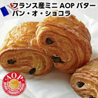 LE FOURNIL DE PIERREフランス産ル・フルニル・ドゥ・ピエール製ミニAOPバター パン オ ショコラ4個父の…