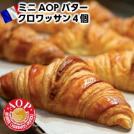 LE FOURNIL DE PIERREフランス産ル・フルニル・ドゥ・ピエール製ミニAOPバタークロワッサン　Mini AOP Bu…