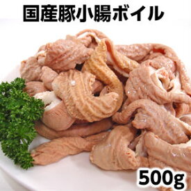 【Entry&ポイント最大14倍 1/24~28 1:59】国産豚ホルモン500g 豚小腸 pork small intestine