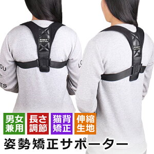 pT|[^[ Lwxg   Lw pxg w؃xg j  q 傫TCY eɂȂȂ w T|[^[ Lwxg p pT|[^[ p