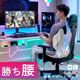 2,000円OFFクーポン+P20倍【座るだけ姿勢が良くなる】JAGO 姿勢サポートチェア 腰の負担軽減 背もたれ可動式 クッション 追従フィット 姿勢矯正 姿勢改善 椅子 サポートチェア 姿勢サポート 骨盤サポート 座椅子 デスクワーク ヘルニア予防 ゆがみ 解消 改善 腰痛対策 猫背
