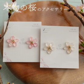 バリセニュン Bali Senyum 桜 花びら 本物 ピアス イヤリング 小さめ かわいい レディース お花 ソメイヨシノ チタン おしゃれ 小ぶり ギフト プレゼント ピンク ホワイト 小サイズ #S003 Ac035