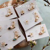 バリセニュン Bali Senyum 桜 花びら 本物 ピアス イヤリング イヤーカフ セット レディース かわいい お…