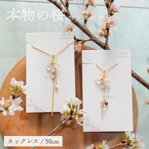 �o���Z�j���� Bali Senyum �� �Ԃт� �{�� �l�b�N���X ���f�B�[�X �S�[���h ������� ���킢�� �\���C���V�m ���i�g�� �J�W���A�� �t�H�[�}�� �M�t�g �v���[���g �s���N �z���C�g 50cm Ac039