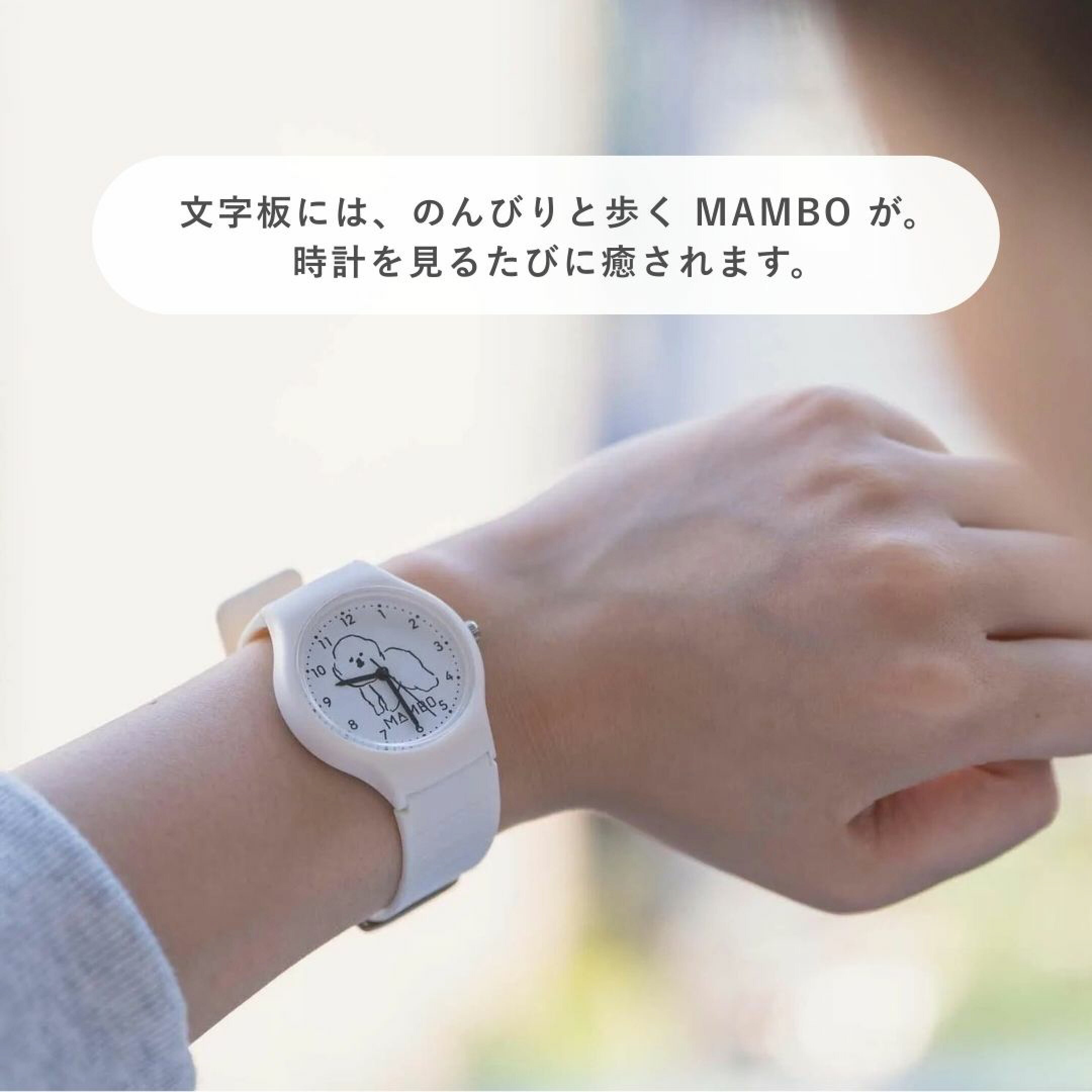 社会人女性へ贈る予算5000円の新生活ギフト（就職祝い・転職祝い・異動祝い）には、腕時計がおすすめ。特に可愛いものに目がない女性への贈り物として、「MAMBO（マンボ）」と「ちいかわ」がぴったり。ビジネスシーンでもカジュアルな休日スタイルでも活躍します。