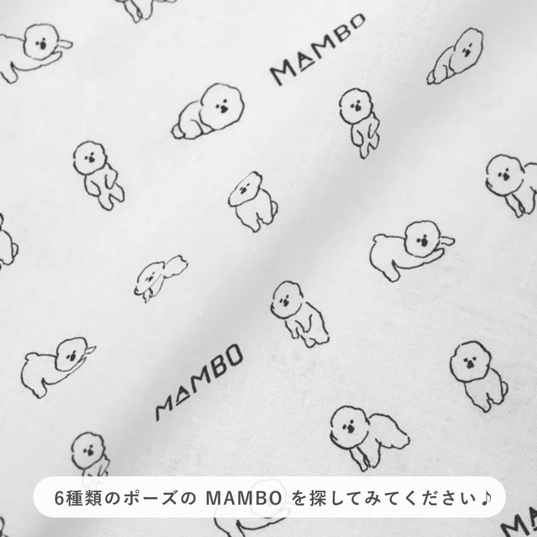 塩川いづみさんが描いたビションフリーゼ犬モチーフのMAMBO（マンボ）のグッズ特集。日常で活躍するタオル・ハンカチもMAMBOの刺繍やイラスト入り。手ぬぐいタオルなら、タオル代わりにはもちろん、食器拭きやランチクロスにも使えて実用的です。